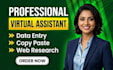 do data entry, copy paste, web research, excel tasks as virtual assistant