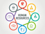 provide business and HR consulting services