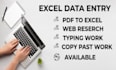 do excel data entry, web research, typing work or convert file