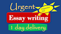 handle perfect english research summary papers on any topic
