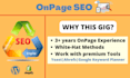 do complete onpage SEO for your wordpress and shopify site