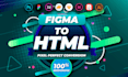 convert figma to html, xd to html, psd to html responsive bootstrap tailwind css