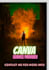 provide you canva designing services