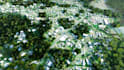 do 3d or 2d masterplan, site plan, urban planning, town planning