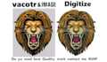 digitize image into embroidery digitizing in 1 hour