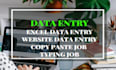 do data entry ,copypaste and typing job