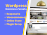 be wordpress developer, build professional website development with elementor