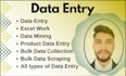 do expert data entry work