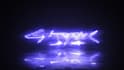 create a custom neon logo animation intro