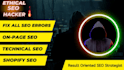 do on page SEO and fix technical issues of wordpress or shopify website