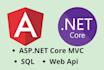 help on asp dot net core angular web api