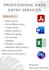 do web search, data entry, copy paste, VA services