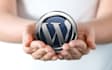 be help you with wordpress or joomla