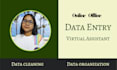 do online offline excel data entry copy paste web research