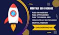 provide monthly seo package services white hat technique