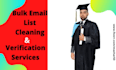 provide bulk email validation and list cleaning service