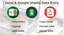 be your excel data expert copy paste and typing