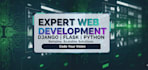 be python django flask web app full stack web developer