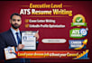 provide professional resume writing, cover letter, and linkedin update