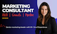 provide b2b marketing coaching, mentoring and consulting