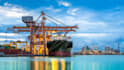 do client search for import and export for you