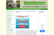 give you full niche website