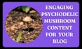 write attractive SEO content about magic mushrooms