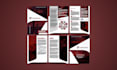 write and design a government contractor capability statement