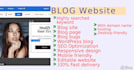 design your excellent blog website