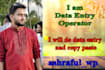 data entry and copy paste