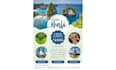 design an amazing and  beautiful flyer on canva