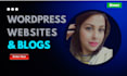 create a responsive wordpress website and blog