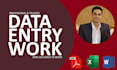 excel data entry, web research, data entry, copy paste
