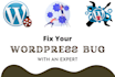 fix wordpress issues, errors or any bug in website