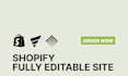 design and build business shopify store website