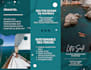 design a professional bifold, trifold brochure and flyer