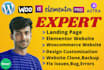 create elementor pro, woocommerce wordpress website within 24 hours