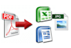 convert any pdf to word or excel, data entry,inpage