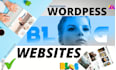 create a professional wordpress blog website and speed optimization