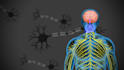 create 2d medical animations and explainer videos