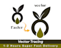 do vector tracing, redraw logo to a vector file, ai, eps, svg, pdf