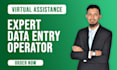do perfect data entry, data collection, data scraping, expertly in low prices