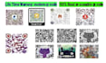 make product barcodes and custom qr code