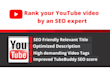 professionally do youtube SEO to improve ranking