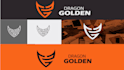 design an attractive and outstanding logo