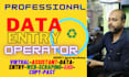 fastest data entry,copy past,web research,excel data entry