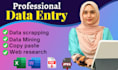 provide data entry, copy paste and excel data entry services