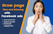 create a facebook ad campaign to grow page likes