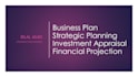create comprehensive business and investment plans