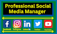 do professional social media manager